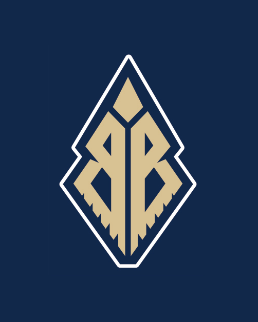 Fallback Image